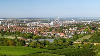 der Verband